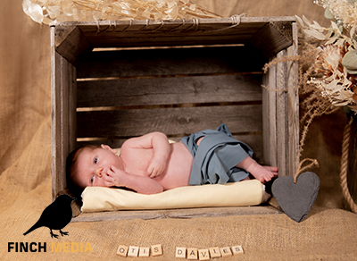 newborn photo wales